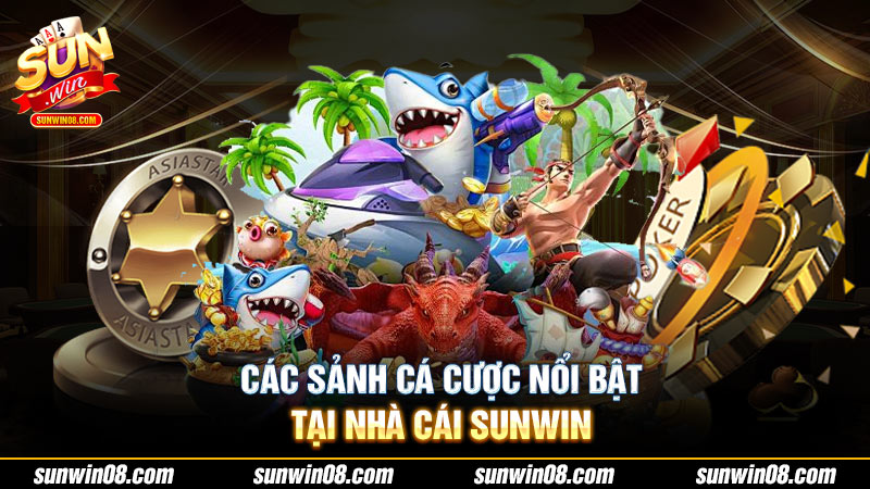 Các sảnh cá cược nổi bật