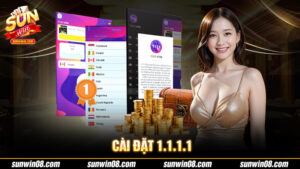 Cài Đặt 1.1.1.1