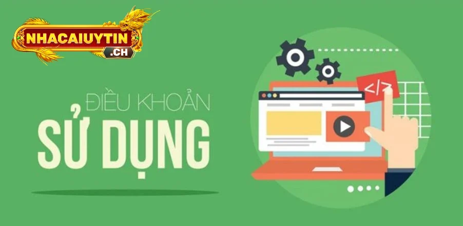 Nội dung được quy định trong chính sách điều khoản sử dụng