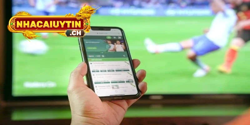 Liên Hệ Nhà Cái Uy Tín